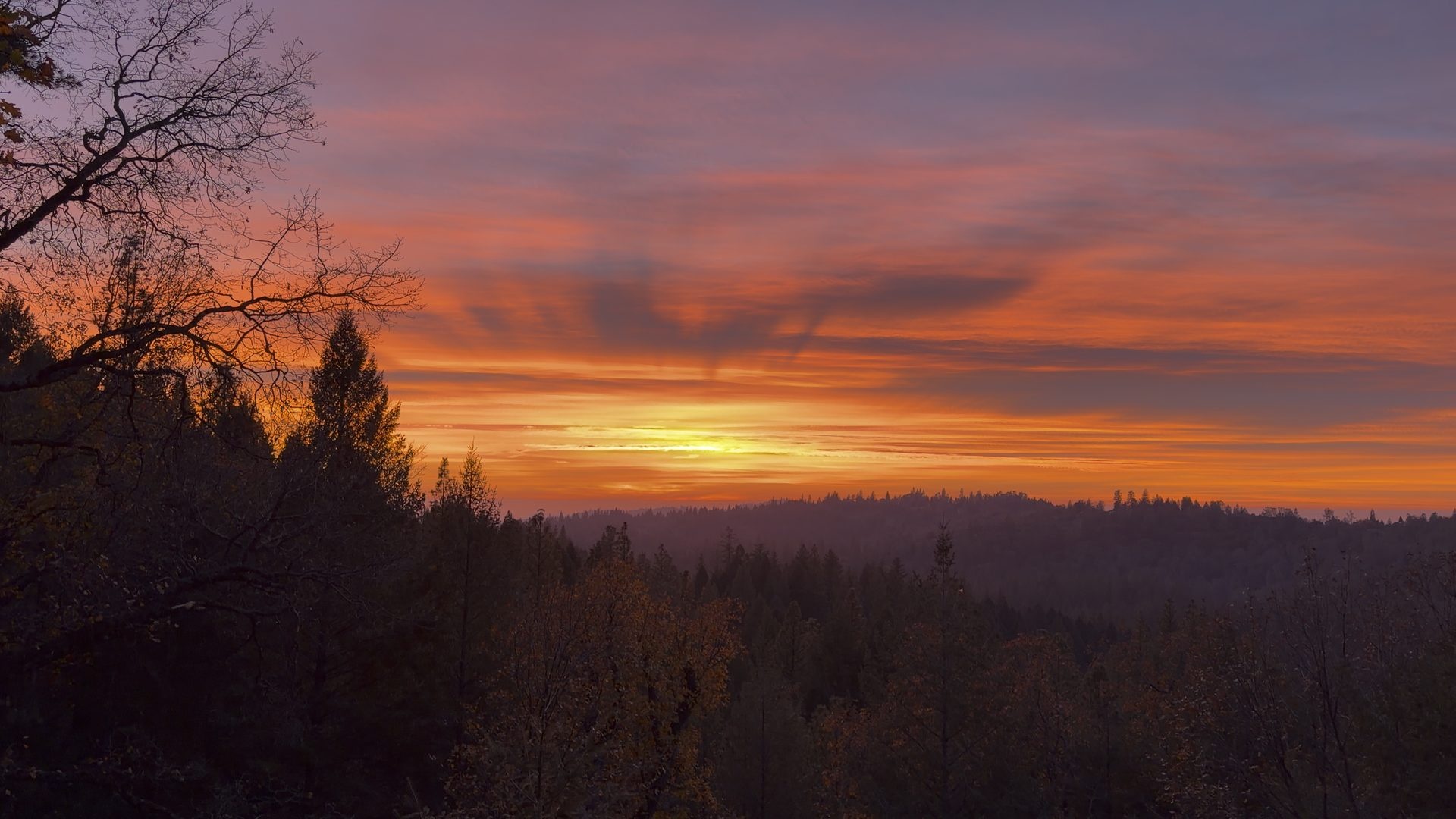 Streaks of rose and orange cloud over a forested ridge after the sun has gone down