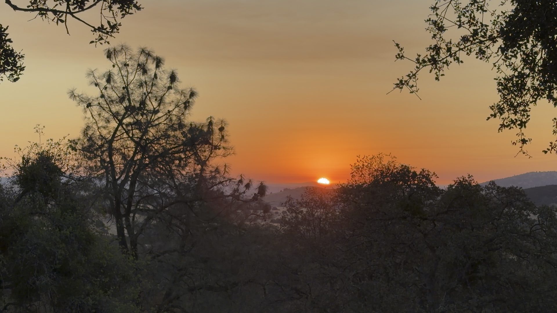 The sun just clearing a wooded ridge, the sky amber with first light